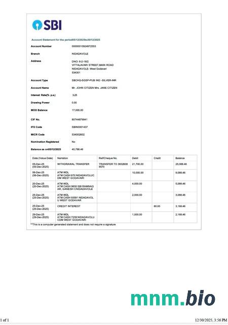 India State Bank Of India konto statement Word i szablon PDF, 2 strony